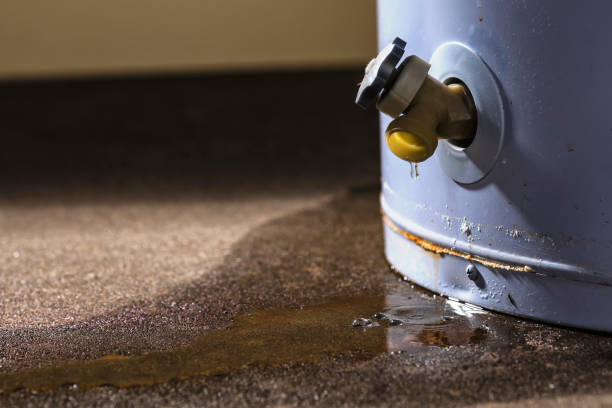 Best Residential water damage restoration  in Oregon, WI