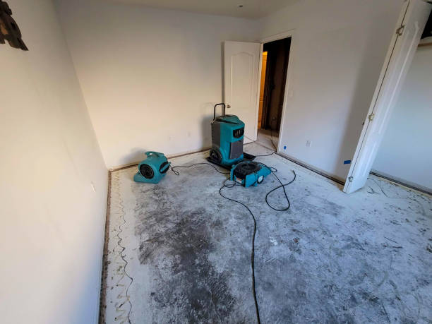 Best Flood damage cleanup  in Oregon, WI