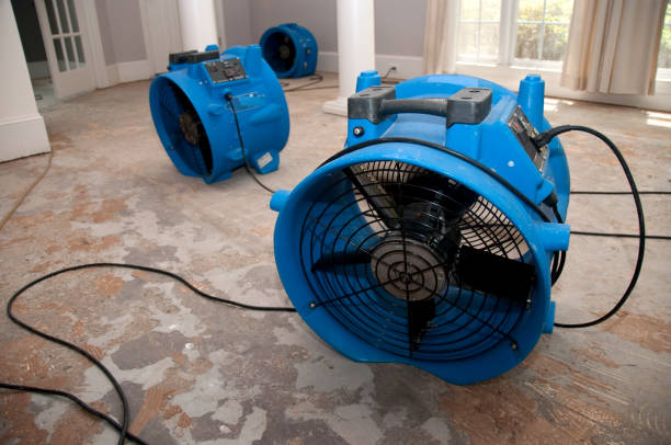 Best Carpet water damage restoration  in Oregon, WI